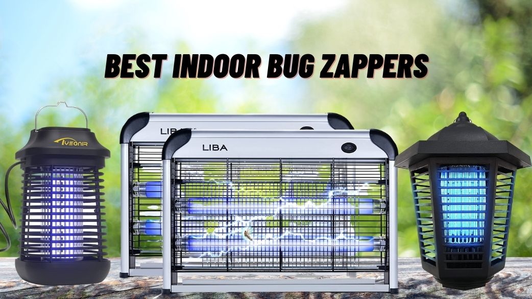 Best Indoor Bug Zappers