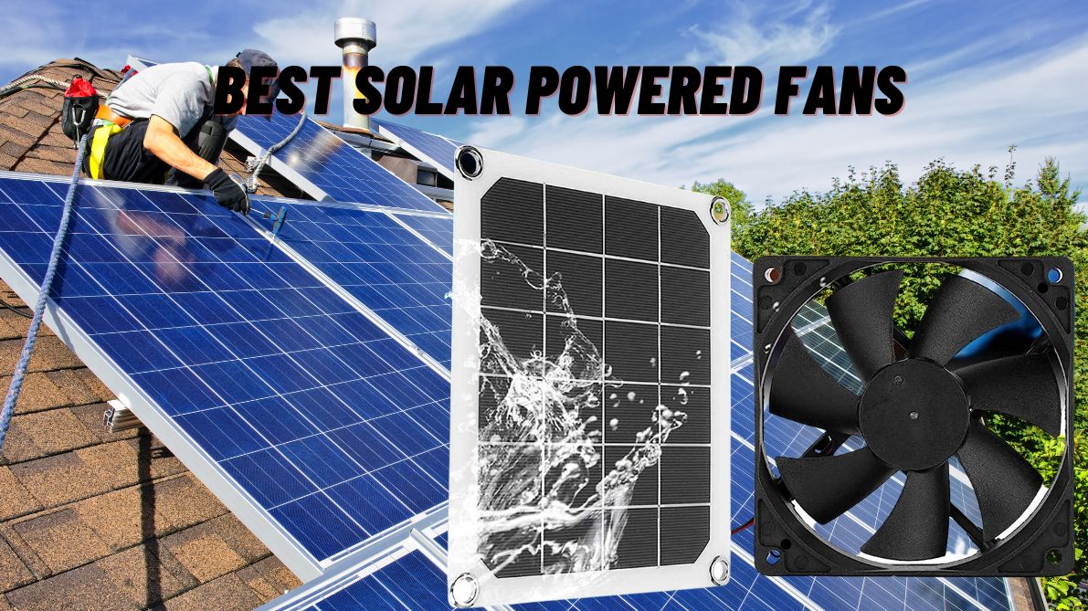 Best Solar Powered Fans