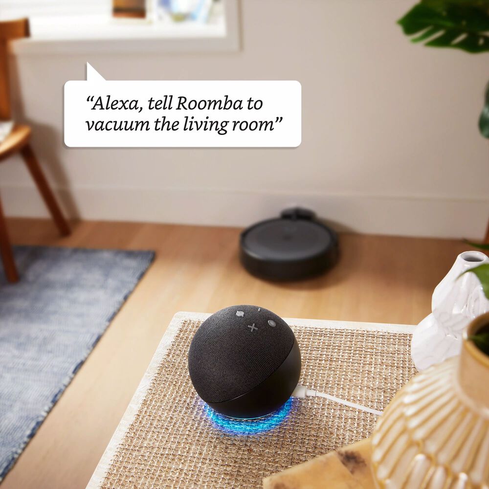 Alexa Roomba Commands