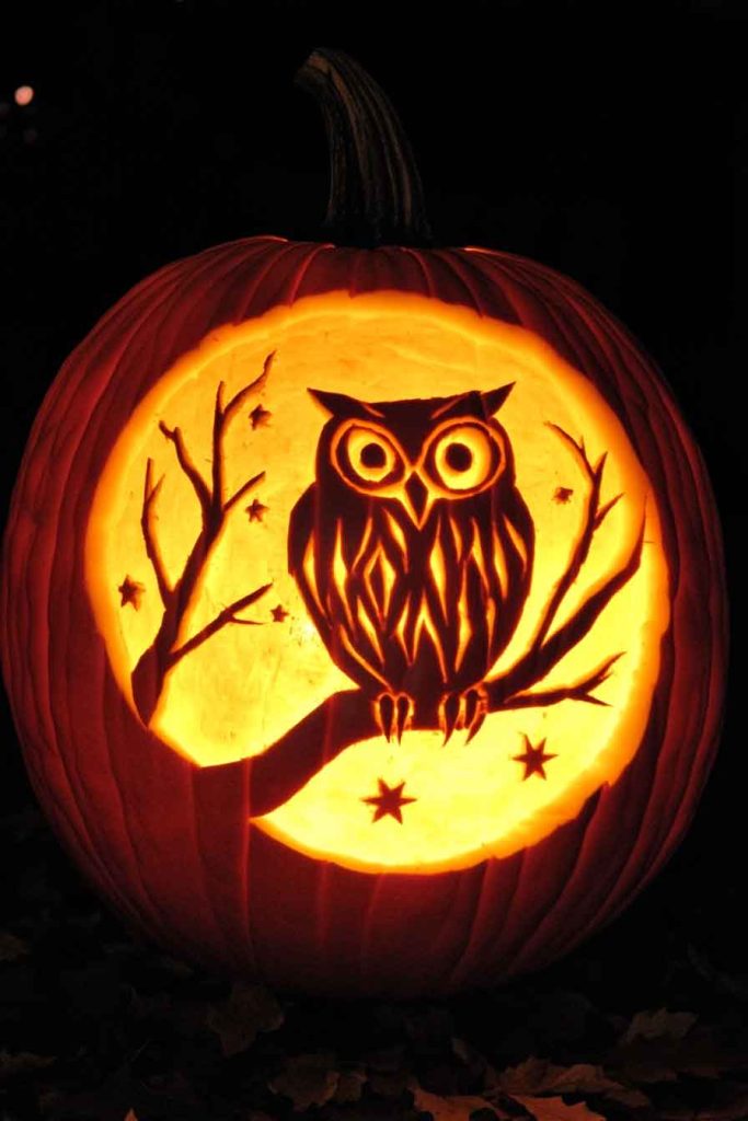 Spooky Owl with Moon