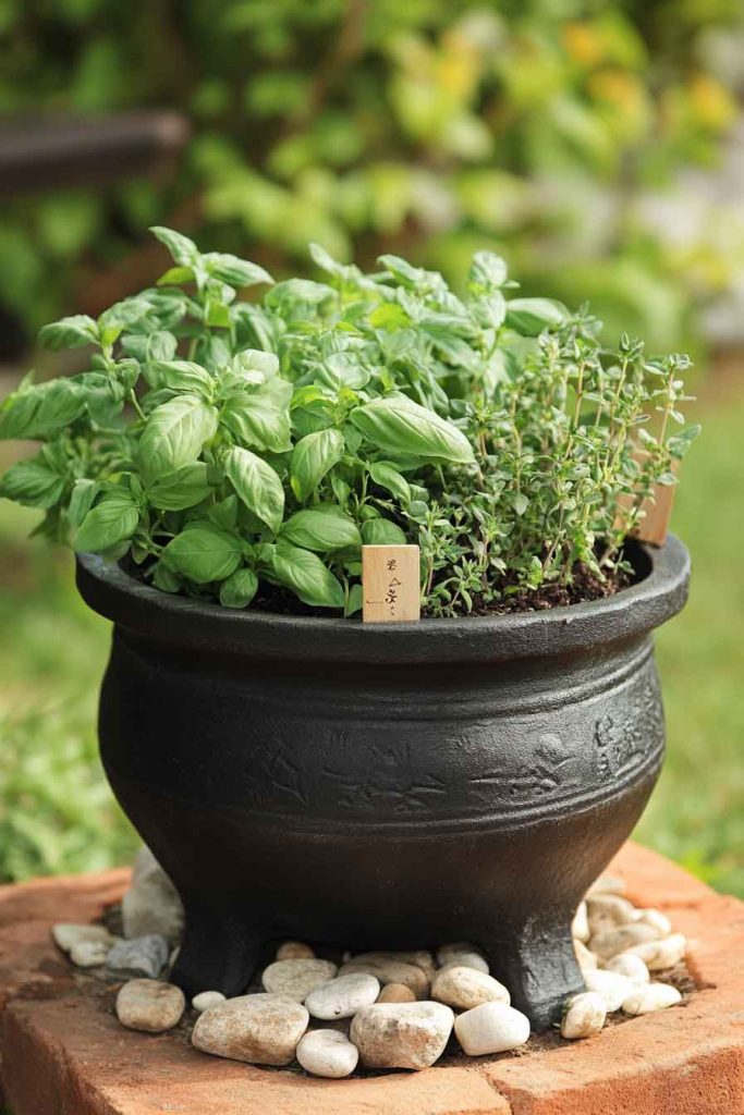 Rustic Herb Garden Cauldron with Weathered Finish