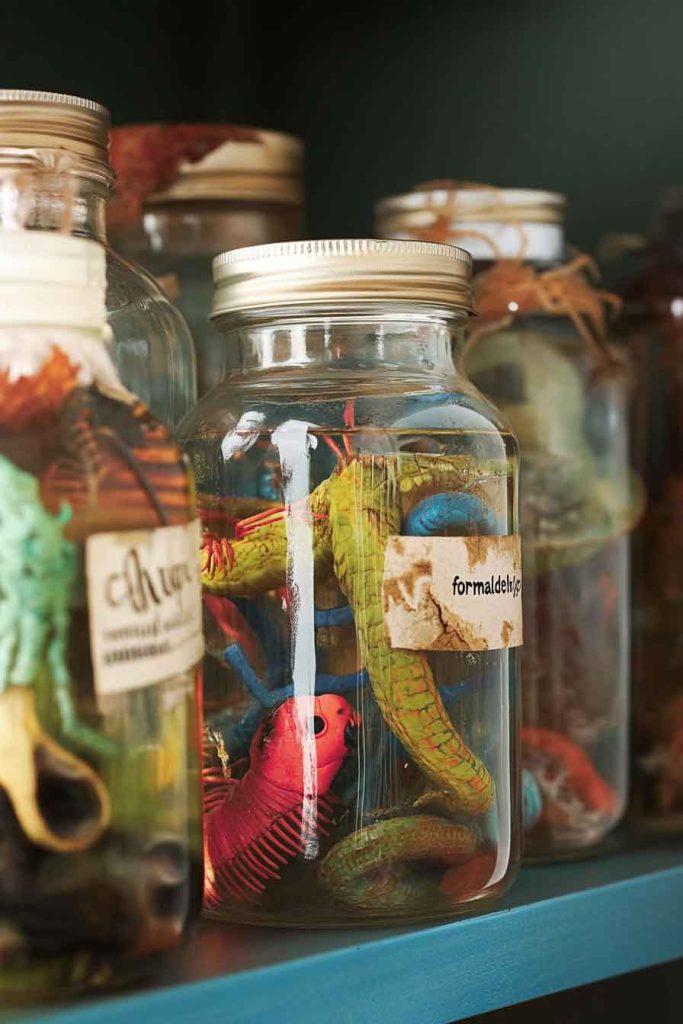 Creepy Crawly Jar Collection