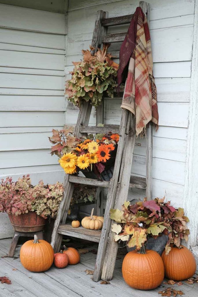 Old Wooden Ladders