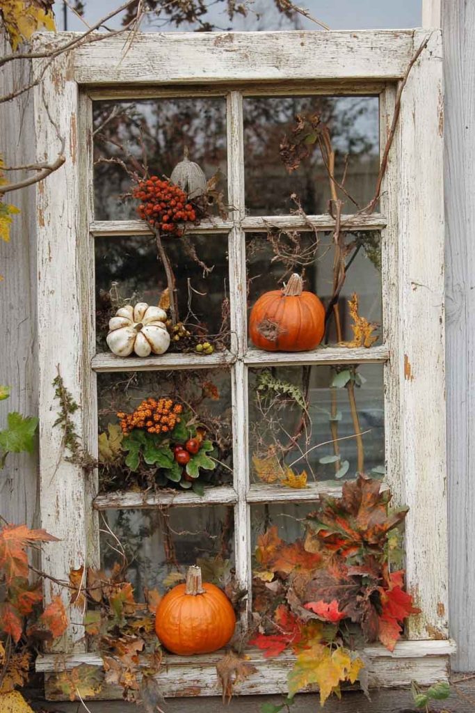  Weathered Window Frame Display 