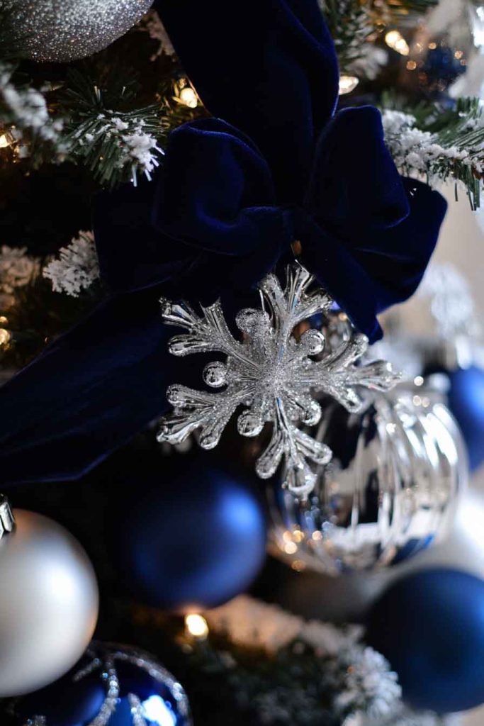 Elegant Navy and Silver