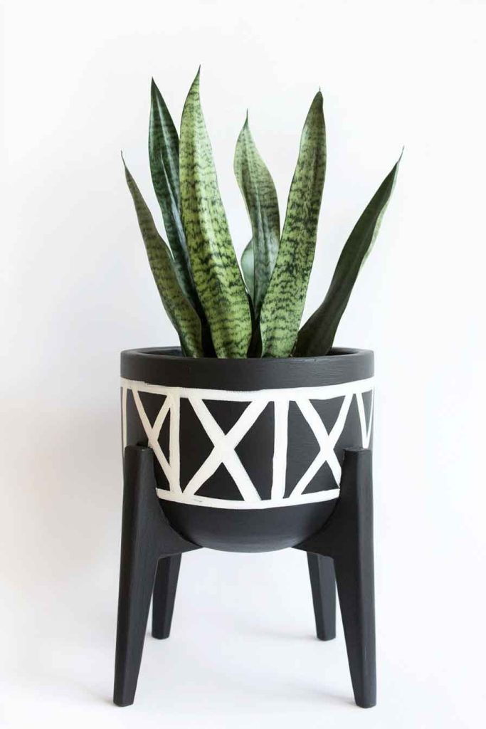 Modern Monochrome Black and White Design