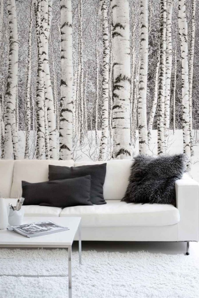 Elegant Birch Tree Winter Wallpaper