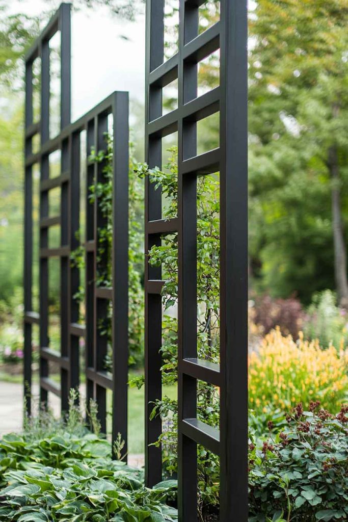 Modern Geometric Trellis