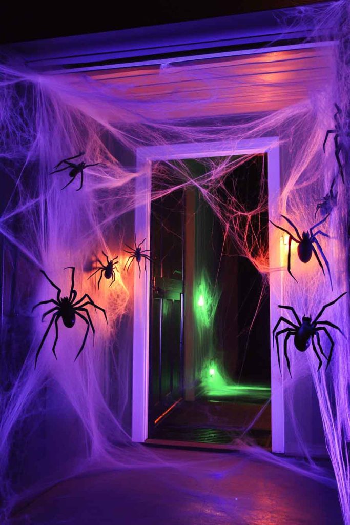 Spider Invasion Entry