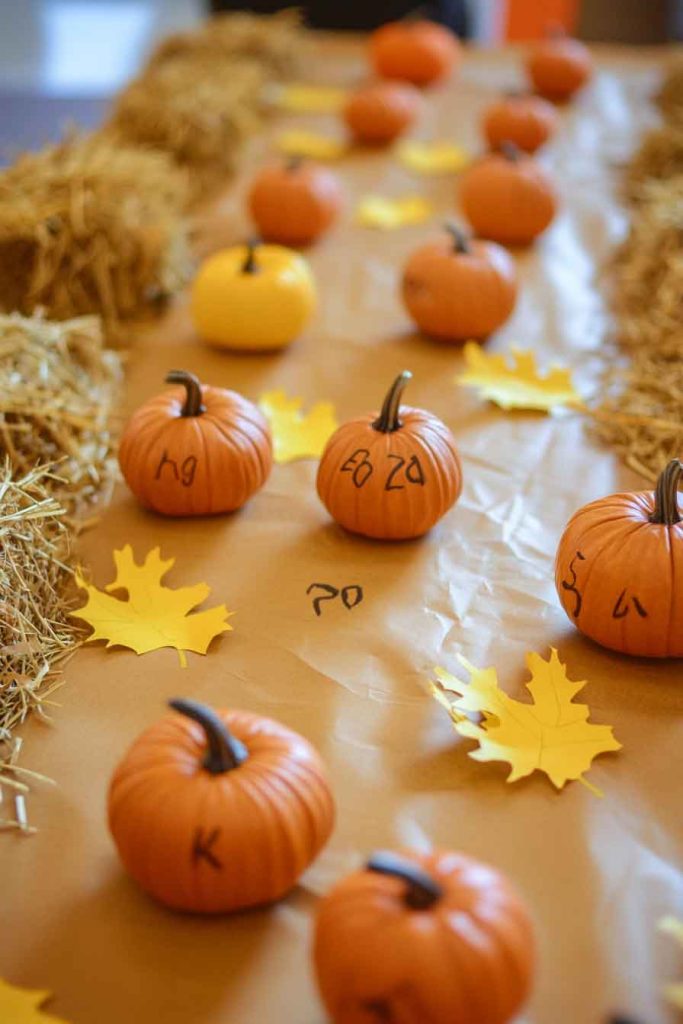Pumpkin Patch Learning Center with Real Mini Pumpkins