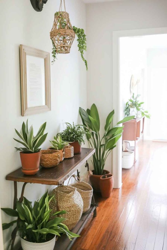 Add Greenery and Plants