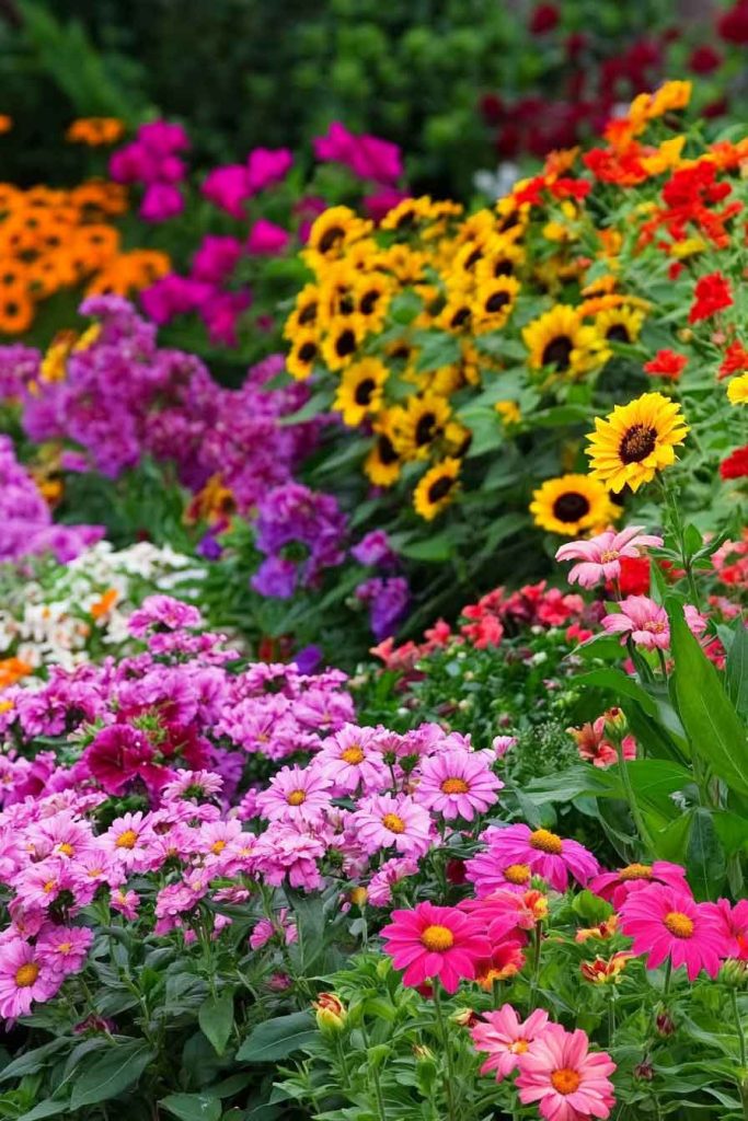 Cutting Garden Beds