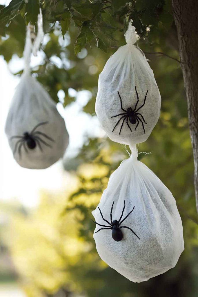 Spider Egg Sacs