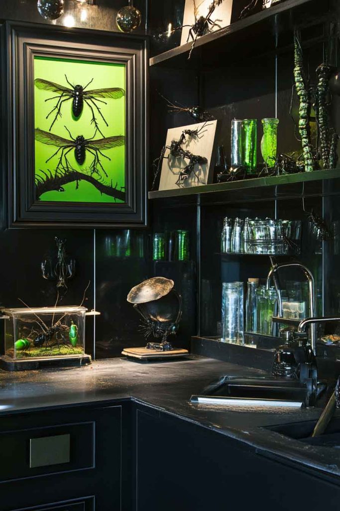 Creepy Crawly Kitchen with Insect Elements