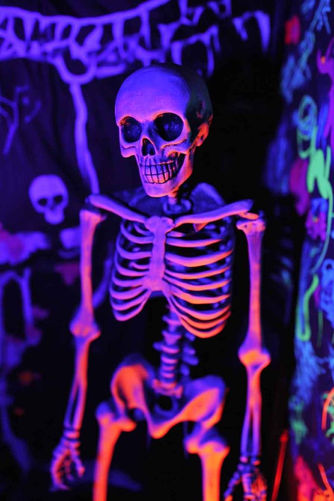 Blacklight Skeleton Display