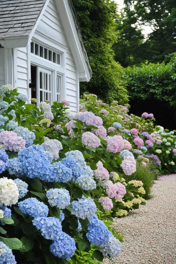 Cottage with Hydrangea Garden