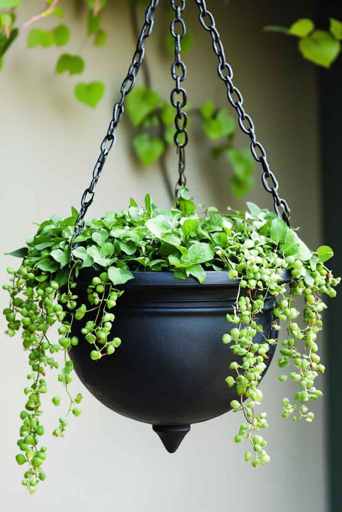 Hanging Cauldron Planter with Chain Detail