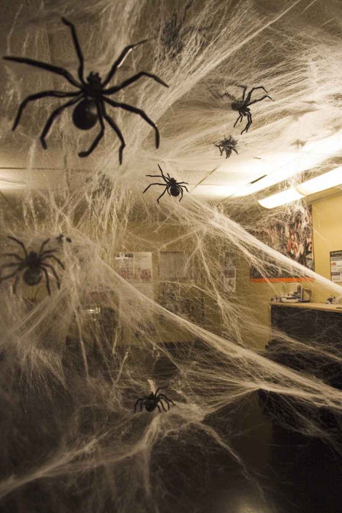 Spider Web Science Corner with Cotton Web Decorations