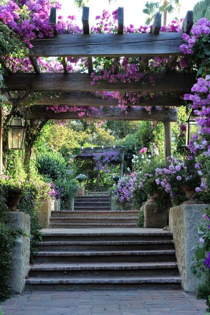 Pergola Covered with Climbing Plants