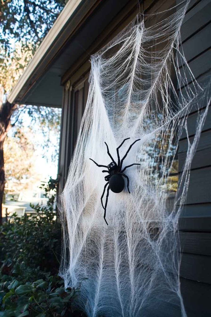 Giant Spider Web Corner