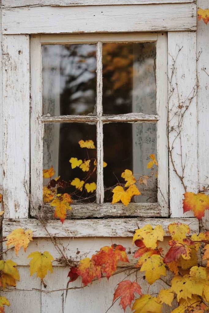 Old Window Frames