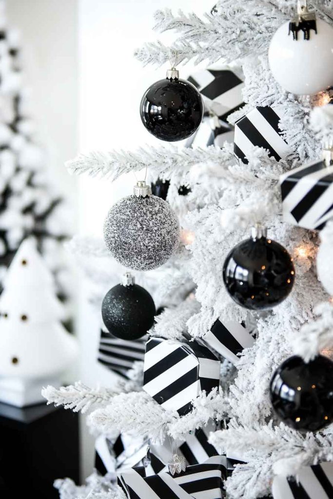 Modern Minimalist Black and White