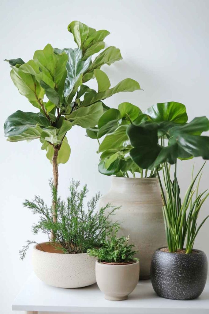 Add Greenery