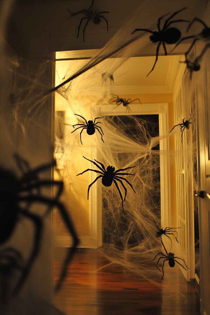 Dramatic Indoor Spider Infestation