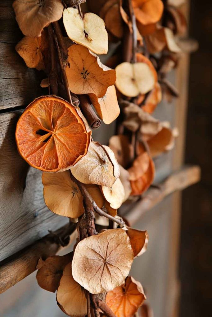 Dried Apple Garland 