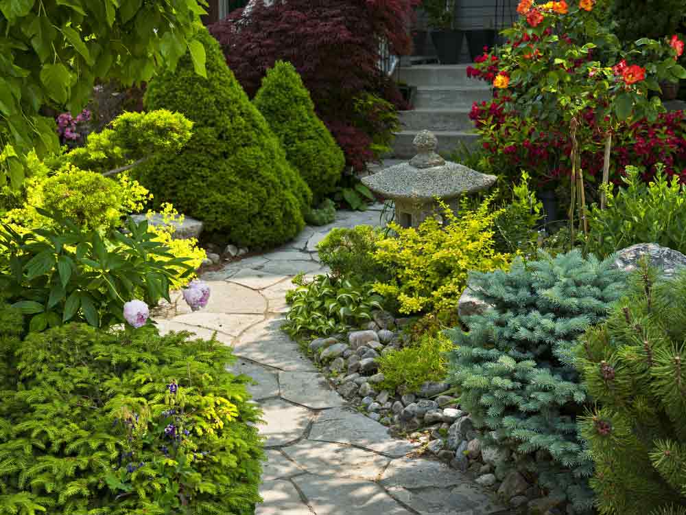 Backyard Walkway Ideas