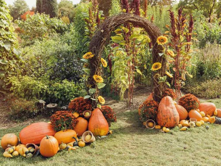 Fall Garden Decor Ideas