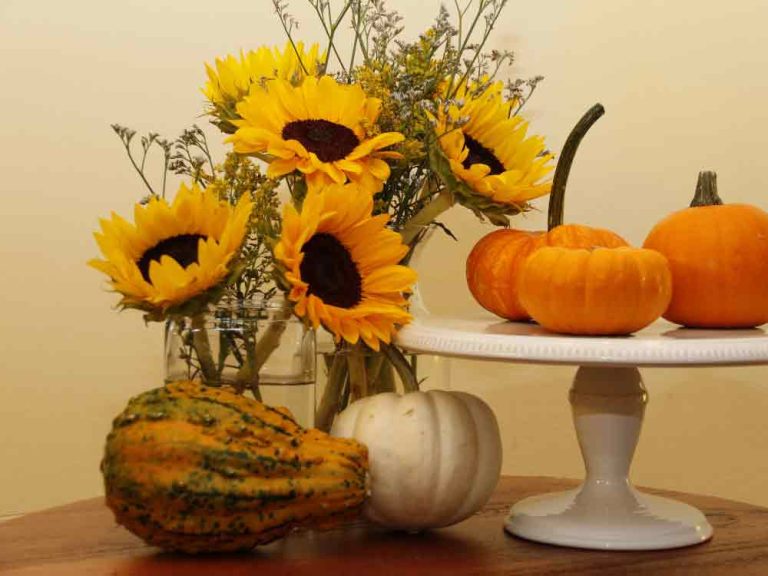 Fall Room Aesthetic Decor Ideas