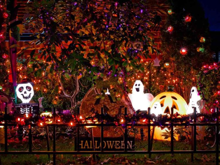 Halloween Decor For Party Ideas