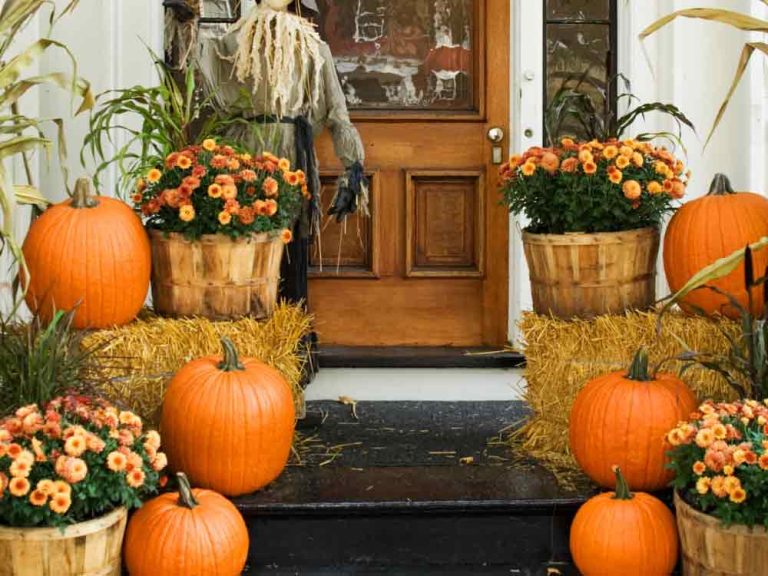 Halloween Outdoor Entry Decorations Ideas