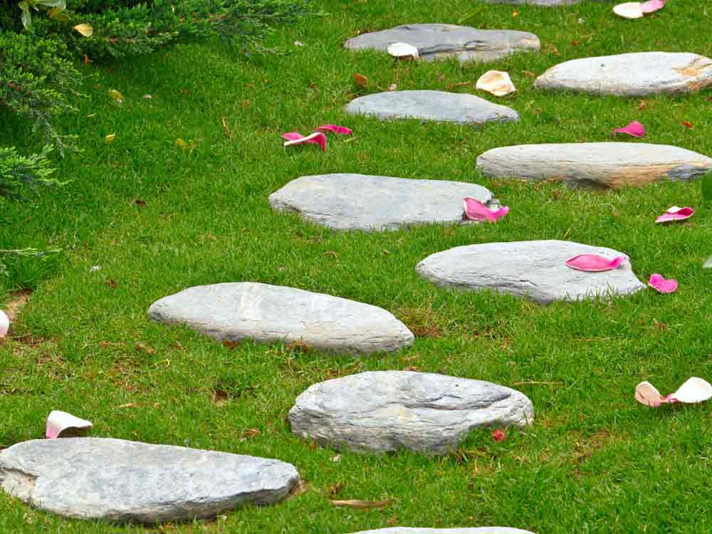 Stepping Stone Ideas