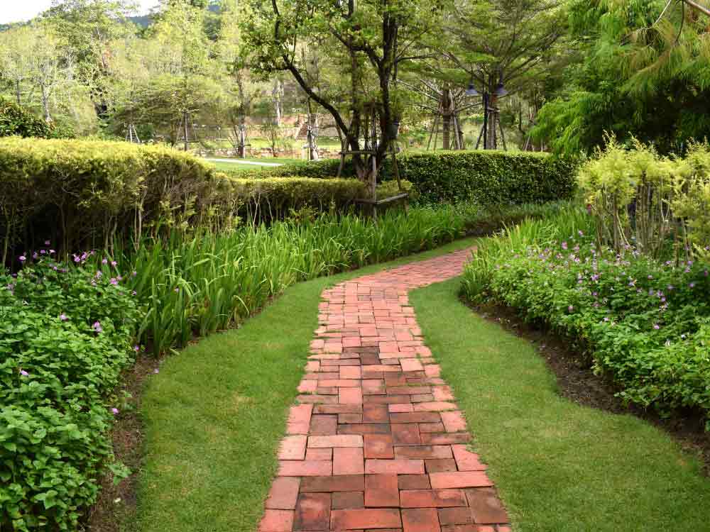 Walkway Ideas