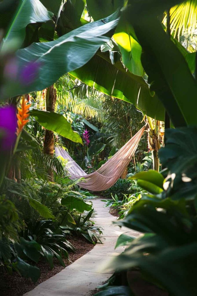 Tropical Secret Garden with Lush Foliage