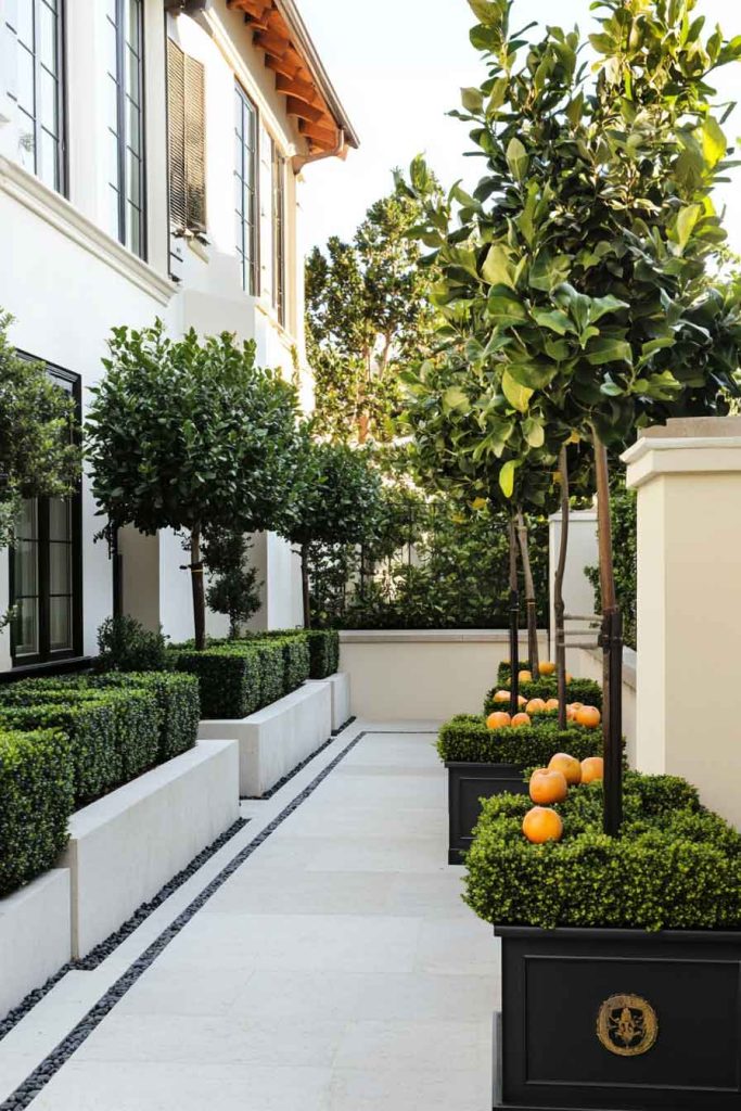 Elegant Front Courtyard with Espalier Trees