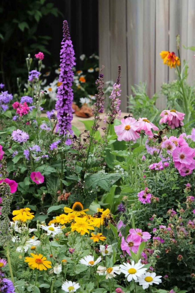 Pollinator Paradise Raised Bed with Bee-Friendly Plants
