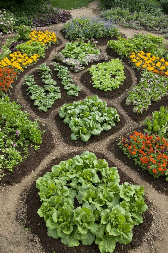 Mixed Productivity Raised Bed Balancing Beauty and Harvest