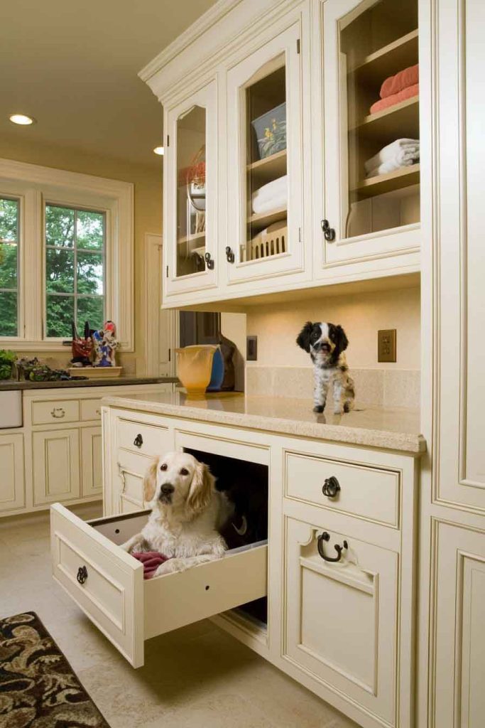 Cabinet with Pet Station