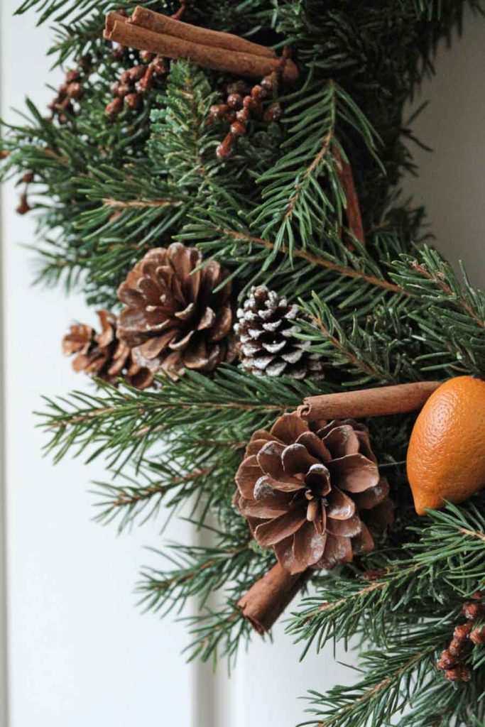 Nature-Inspired Evergreen Wall