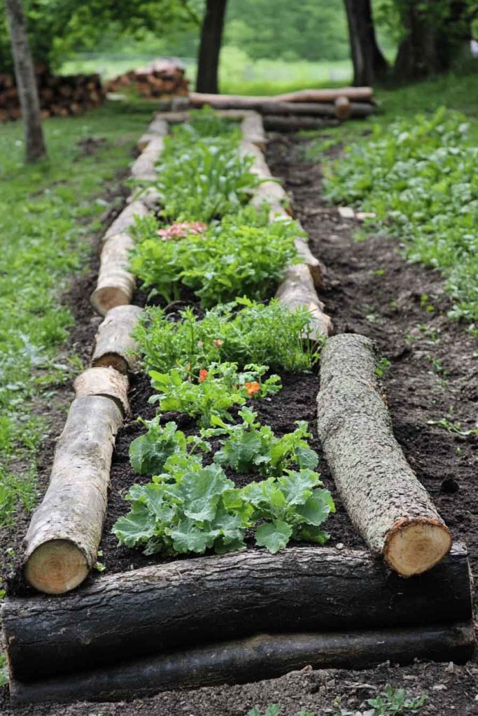 Hugelkultur Raised Bed