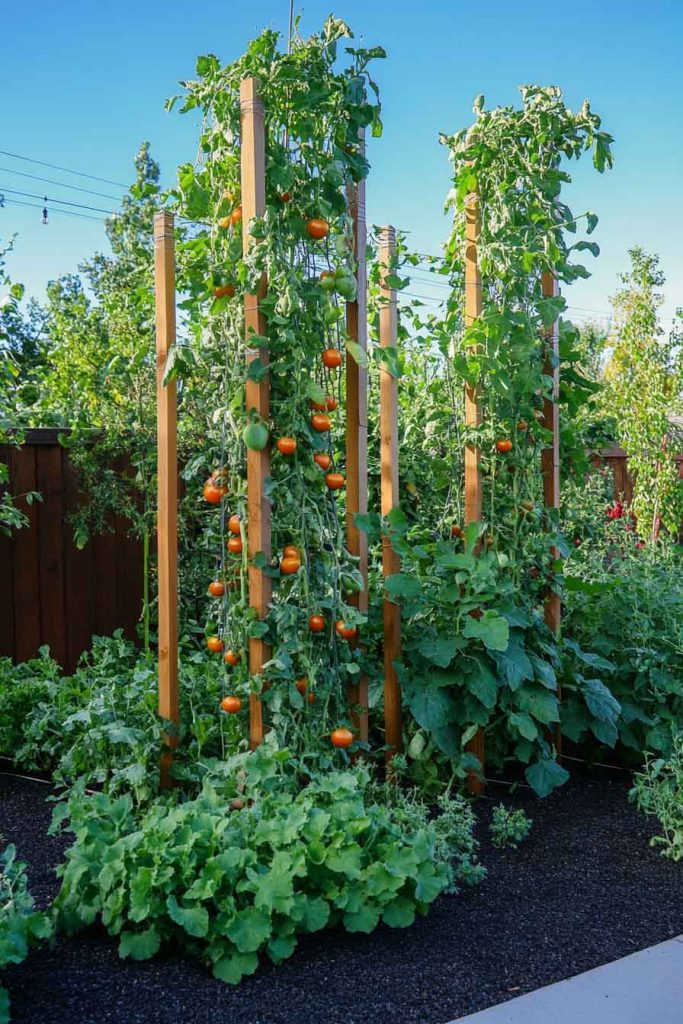 Vertical Raised Bed