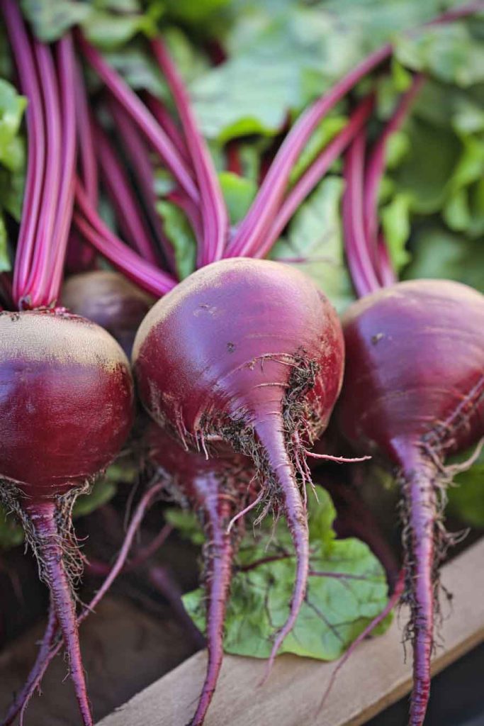 Beets