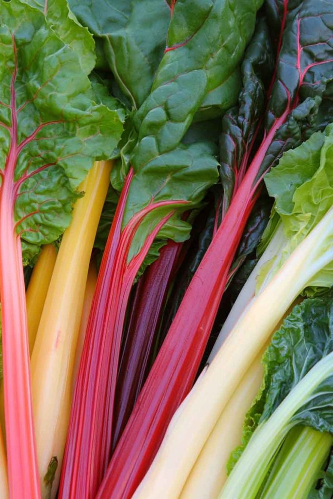 Swiss Chard