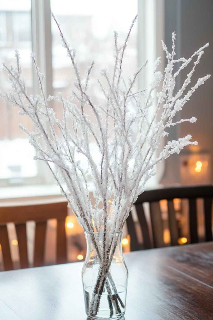 Epsom Salt Snow-Covered Branches