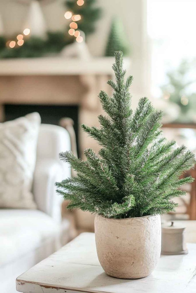 This cozy image shows a small green Christmas tree in a rustic stone pot